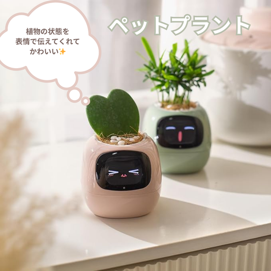 ペットプラント